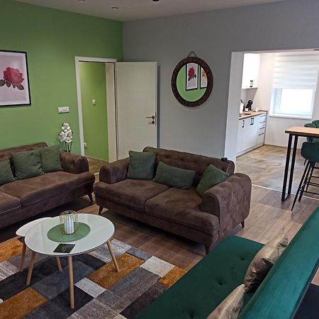Dream House Apartment Vrsac Ngoại thất bức ảnh