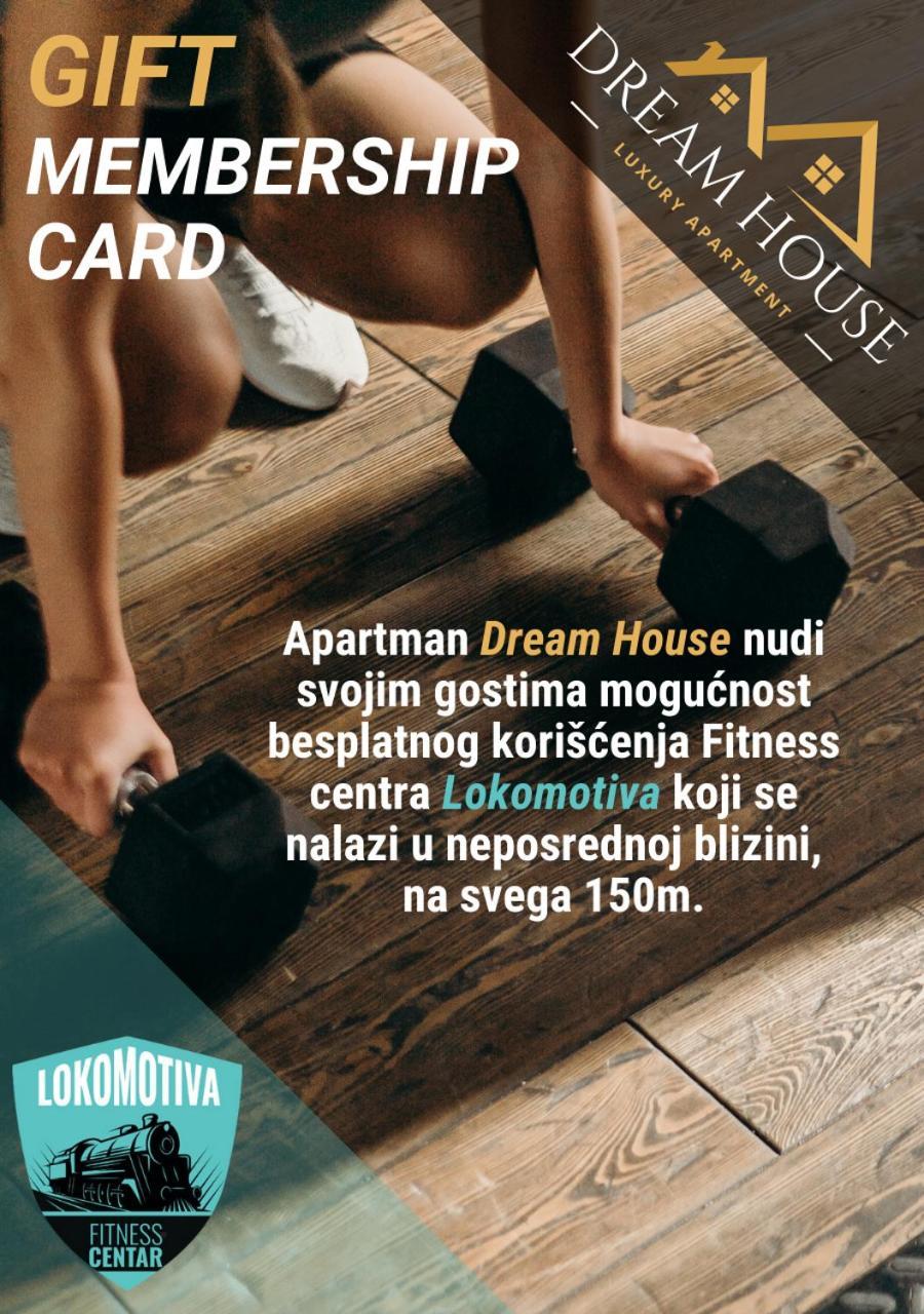 Dream House Apartment Vrsac Ngoại thất bức ảnh